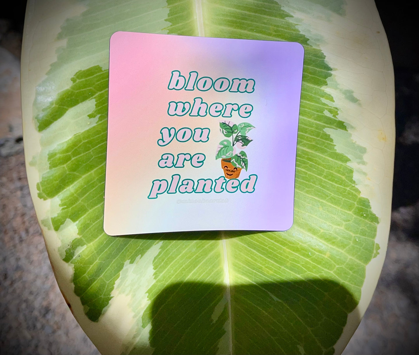 Bloom where you are planted  3"x 3"